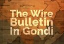 मणिपुर में हिंसा जारी, मोरेह में स्कूल और जिरीबाम में घरों में आग लगाई गई | The Wire Gondi Bulletin
