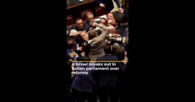 A brawl breaks out in Italian parliament over reforms | AJ #shorts