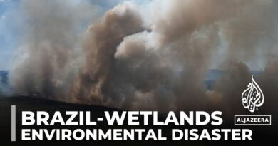 ‘An inferno’: The largest wetlands in the world are on fire in Brazil