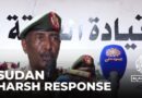 Attacks in Al Jazira state: RSF accused of village attack that killed 100