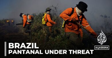 Brazil wildfires: Fires burn in the world’s largest tropical wetland