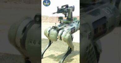 China’s military unveils robot dogs armed with rifles