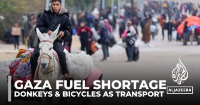 Fuel shortages in Gaza: People resort to donkeys and bicycles for transport