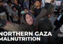 Palestinians in northern Gaza fear ‘another wave of starvation’