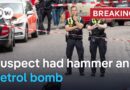 Police shoot man in Hamburg, Germany who was threatening officers | DW News