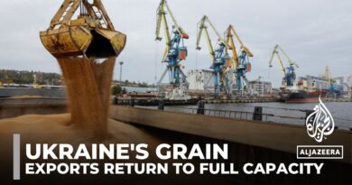 Ukraine’s grain exports reach pre-war levels but challenges remain