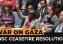 UN Security Council adopts US-sponsored Gaza ceasefire resolution | Al Jazeera Newsfeed