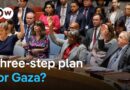 UN Security Council backs cease-fire plan | DW News