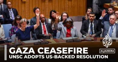 UN Security Council endorses US-sponsored Gaza ceasefire resolution