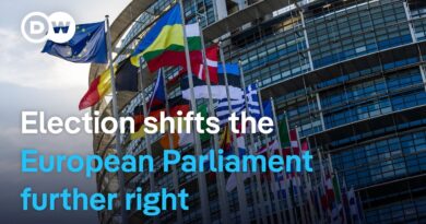 Will the expansion of the far-right bloc change parliament’s outlook? | DW News