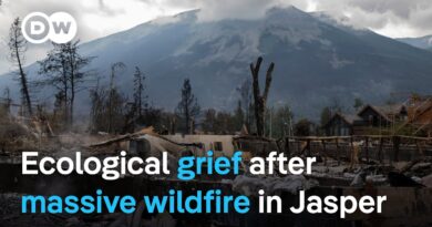 National mourning after monster wildfire spanning 36,000 hectares devastates Canadian town of Jasper