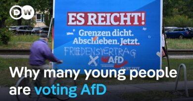 AfD party set to perform strongly in Brandenburg state election | DW News