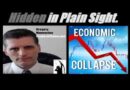 (Alert!) THE WORLD ECONOMY IS IN COLLAPSE! WAR IS EXPANDING… STOCK MARKETS TO GO HIGHER! Mannarino