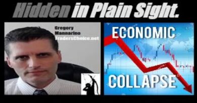 (Alert!) THE WORLD ECONOMY IS IN COLLAPSE! WAR IS EXPANDING… STOCK MARKETS TO GO HIGHER! Mannarino