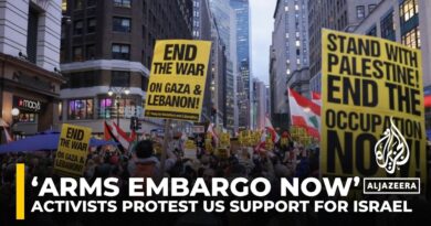 ‘Arms embargo now’: Protests held in US cities against support for Israel