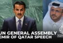 Emir of Qatar condemns ‘blatant aggression’ against Palestinians