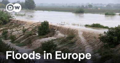 Europe floods update: EU’s von der Leyen to meet with eastern European leaders | DW News