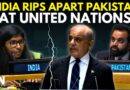 India Vs Pakistan In UNGA, Indian Diplomat Rips Apart Pakistan PM Shahbaz Sharif On Jammu & Kashmir