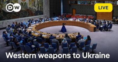 Live: UN Security Council debates weapons deliveries to Ukraine | DW News