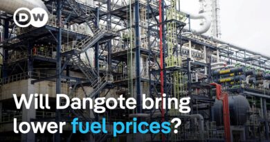 Nigeria seeks to lower fuel prices with new Dangote oil refinery | DW News