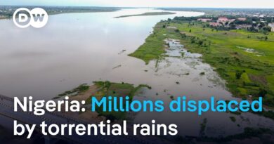 Nigeria warns of floods as Cameroon releases water | DW News