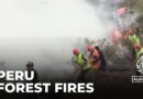 Peru wildfires: Country declares state of emergency