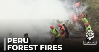 Peru wildfires: Country declares state of emergency