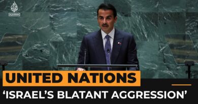 Qatari leader condemns ‘blatant aggression’ against Palestinians | Al Jazeera Newsfeed