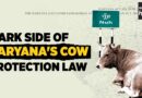 Reality of Haryana’s Cow Protection Law: Vindicating ‘Gau Rakshaks,’ Exploiting Victims | The Quint