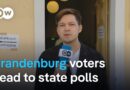 Social Democrats and far-right AfD nack-and-neck in Brandenburg polls | DW News