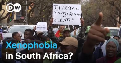 South Africa’s new government cracks down on illegal immigration | DW News