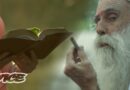 Temple 420: Getting Stoned for God