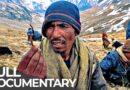 The Organic Gold Hunters of the Himalayas | Free Documentary