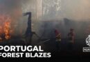 Three firefighters die as Portugal battles dozens of wildfires