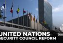 UN Security Council reform: Members call for changes to veto powers