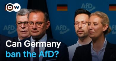 What quelling the far-right AfD party could mean for German democracy | DW News