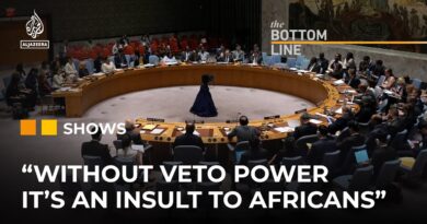 Why is the US offering Africa seats on the UN Security Council? | The Bottom Line