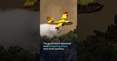 Wildfires in Portugal lead to evacuations and transport disruption | DW News