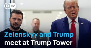 Zelenskyy meets Trump seeking bipartisan support | DW News