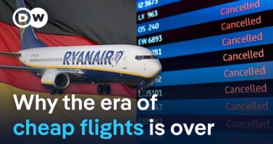 Are green policies suffocating European aviation? | DW News