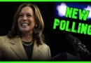 BOMBSHELL: MASSIVE Kamala Polling Spells DOOM For Trump | The Kyle Kulinski Show