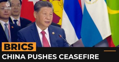 Chinese President Xi pushes for Gaza ceasefire at BRICS meeting | AJ #shorts