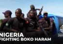 Civilian Joint Task Force aids Nigerian military in routing Boko Haram, restoring stability