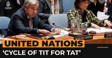 ‘Deadly cycle of tit for tat must stop’ says Guterres | AJ #shorts