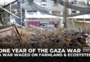 Ecocide in Gaza: A war waged on farmland and ecosystems