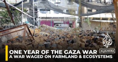 Ecocide in Gaza: A war waged on farmland and ecosystems