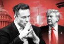 EXPOSED: Elon Musk’s Master Plan For America