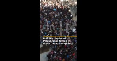 Forcibly displaced Palestinians filmed at north Gaza checkpoint | AJ #shorts