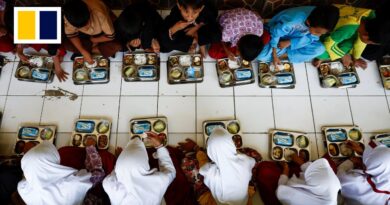 Free lunches for 83 million Indonesians?