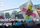 German lawmakers want to ban the far-right AfD party | DW News